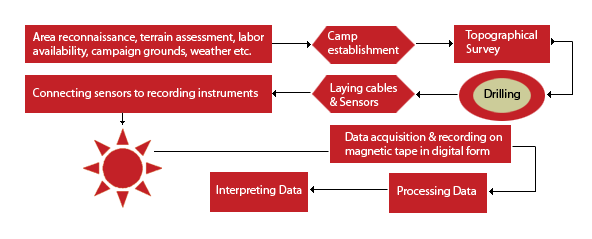 Seismic Service Flow Chart